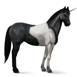 unicorno da corsa tobiano pinto baio chiaro