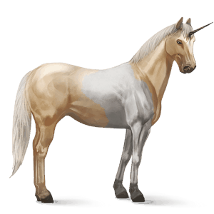 unicorno da corsa paint horse tobiano palomino