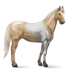 cavallo da corsa hanoverian castano scuro
