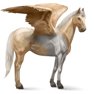 pegaso da corsa purosangue inglese nero