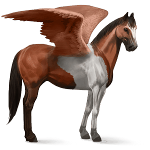 pegaso da corsa paint horse tobiano baio rossastro