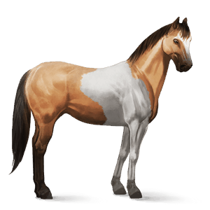cavallo da corsa hunter irlandese grigio puntellato