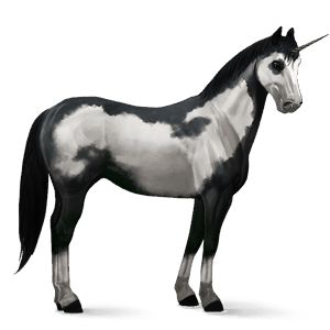 unicorno pony haflinger castano biondo platino