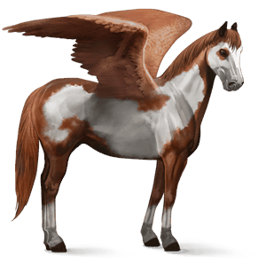 pegaso da corsa paint horse overo pinto castano
