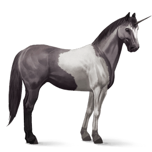 unicorno da corsa frisone nero