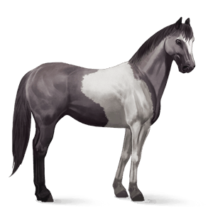 cavallo da corsa cavallo arabo castano