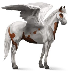 pegaso da corsa purosangue inglese castano