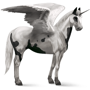 unicorno da corsa alato paint horse tovero nero