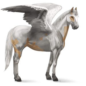 pegaso da corsa hanoverian castano biondo platino