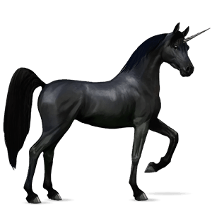unicorno da corsa nero
