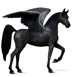 pegaso da corsa cavallo arabo grigio pezzato