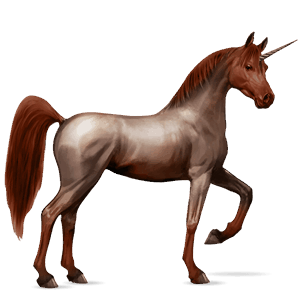 unicorno da corsa baio