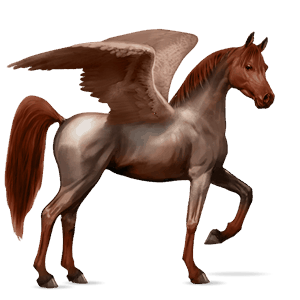 pegaso da corsa cavallo arabo roano rosso