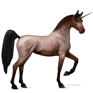unicorno da corsa curly castano