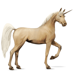 unicorno da corsa cavallo arabo grigio puntellato