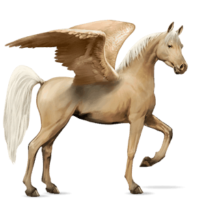 pegaso da corsa cavallo arabo grigio chiaro