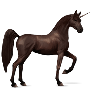 unicorno da corsa castano scuro