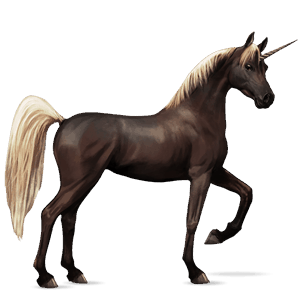 unicorno da corsa cavallo arabo grigio puntellato