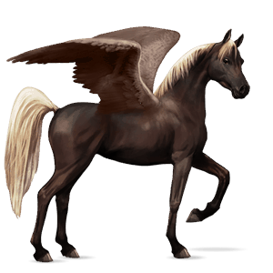 pegaso da corsa cavallo arabo grullo