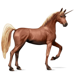 unicorno da corsa cavallo arabo baio