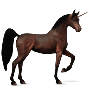 unicorno da corsa cavallo arabo baio scuro