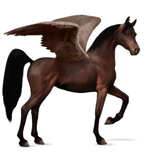 pegaso da corsa tennessee walker baio scuro