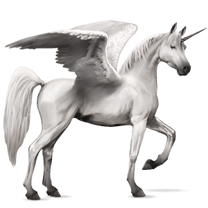 unicorno da corsa alato cavallo arabo grigio chiaro