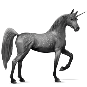 unicorno da corsa cavallo arabo grigio pezzato