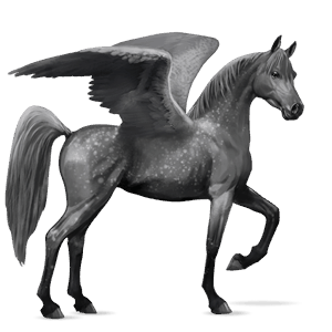 pegaso da corsa cavallo arabo grigio chiaro