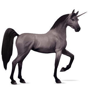 unicorno da corsa cavallo arabo baio rossastro