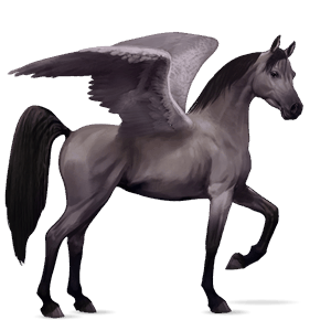 pegaso da corsa grullo