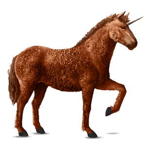 unicorno da corsa curly castano