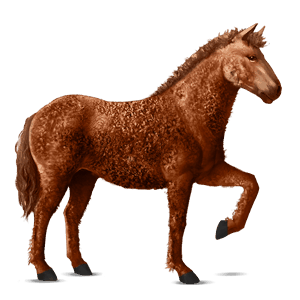 cavallo da corsa frisone nero