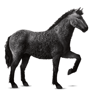 cavallo da corsa frisone nero