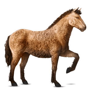 cavallo da corsa curly castano