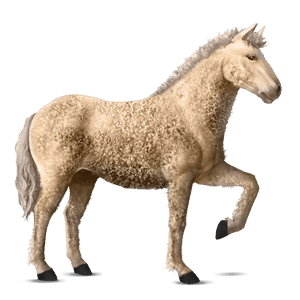 cavallo da corsa curly tobiano castano scuro