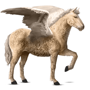 pegaso da corsa hanoverian castano scuro