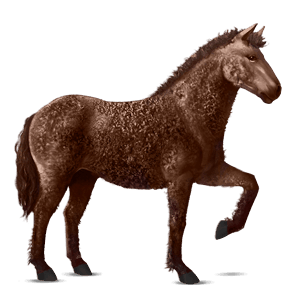 cavallo da corsa purosangue inglese grigio pezzato