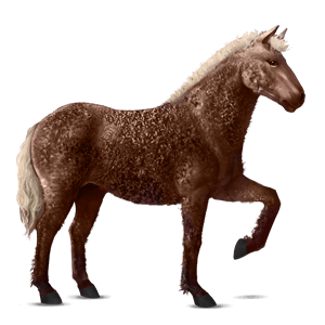 cavallo da corsa hanoverian castano biondo platino