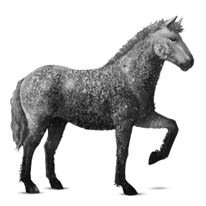 cavallo da corsa grigio pezzato
