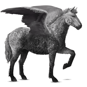 pegaso da corsa cavallo islandese baio scuro