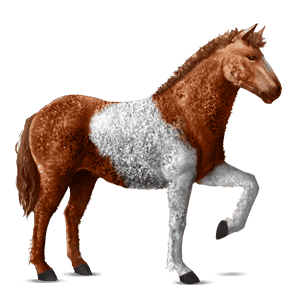 cavallo da corsa castano tobiano