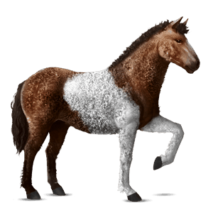 cavallo da corsa castano biondo scuro