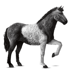 cavallo da corsa curly tobiano castano scuro