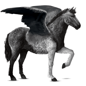 pegaso da corsa curly tobiano pinto baio chiaro