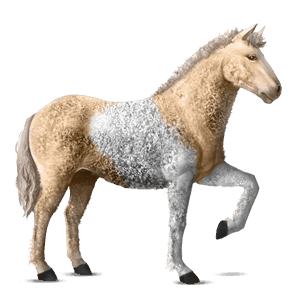 cavallo da corsa purosangue inglese grigio pezzato