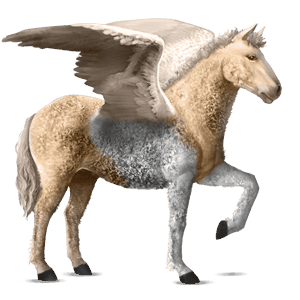 pegaso da corsa hanoverian castano biondo platino