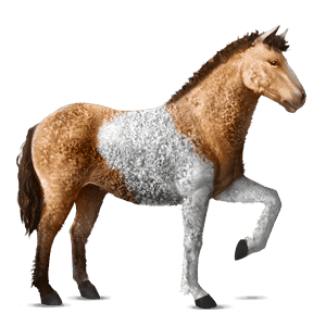 cavallo da corsa purosangue spagnolo grullo