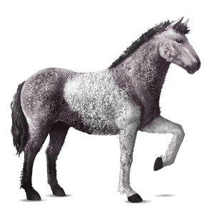 cavallo da corsa curly tobiano baio