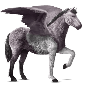 pegaso da corsa curly tobiano grullo